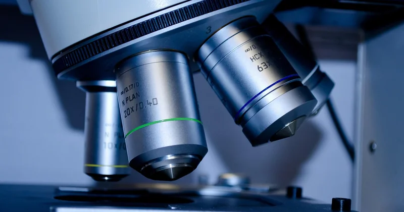 Les outils SEO pour identifier les 404 en masse